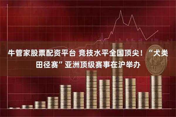 牛管家股票配资平台 竞技水平全国顶尖！“犬类田径赛”亚洲顶级赛事在沪举办