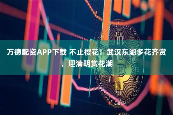 万德配资APP下载 不止樱花！武汉东湖多花齐赏，迎清明赏花潮