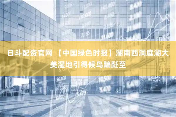 日斗配资官网 【中国绿色时报】湖南西洞庭湖大美湿地引得候鸟蹁跹至